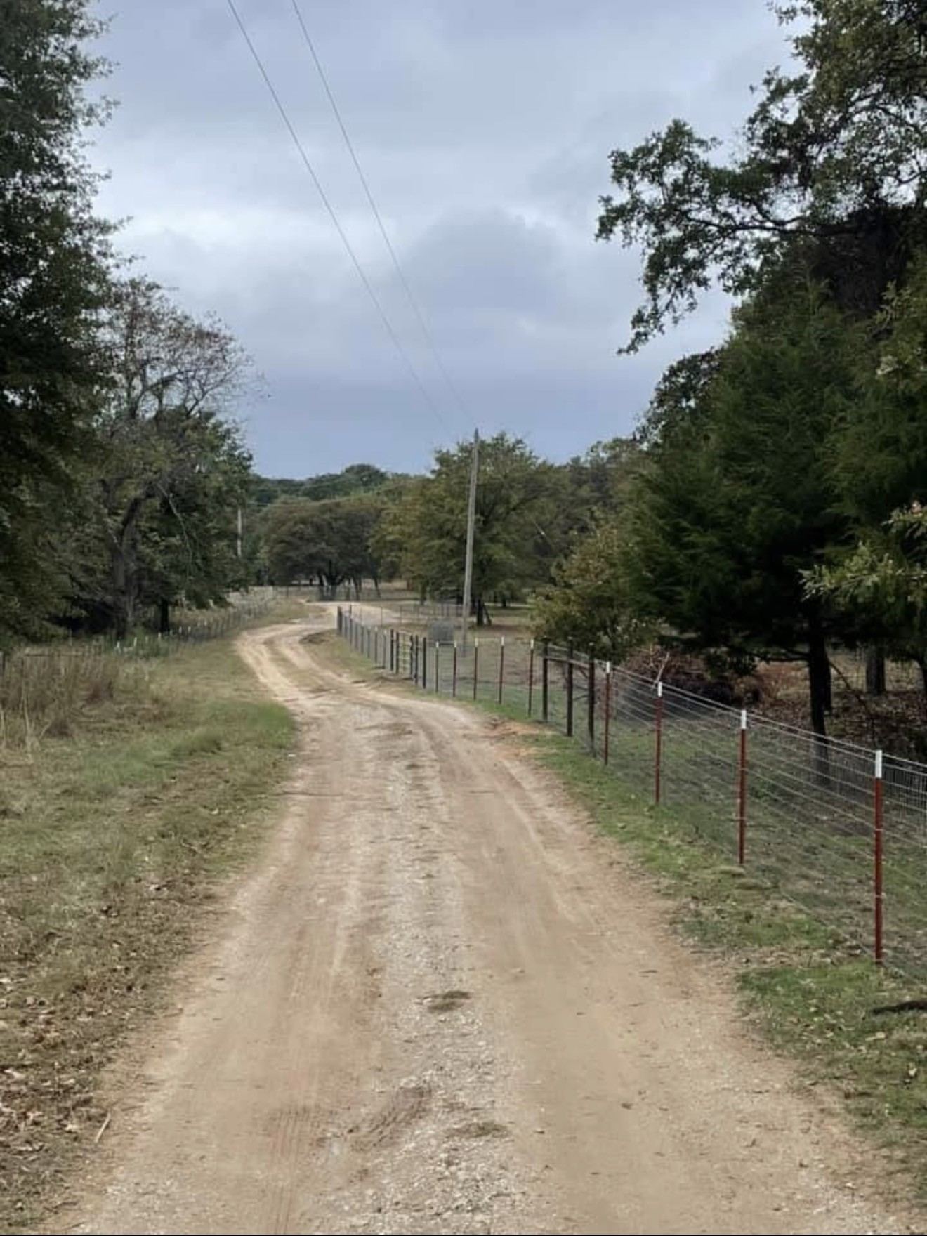 Woven wire fence on steel T-posts running along a gravel road through the trees