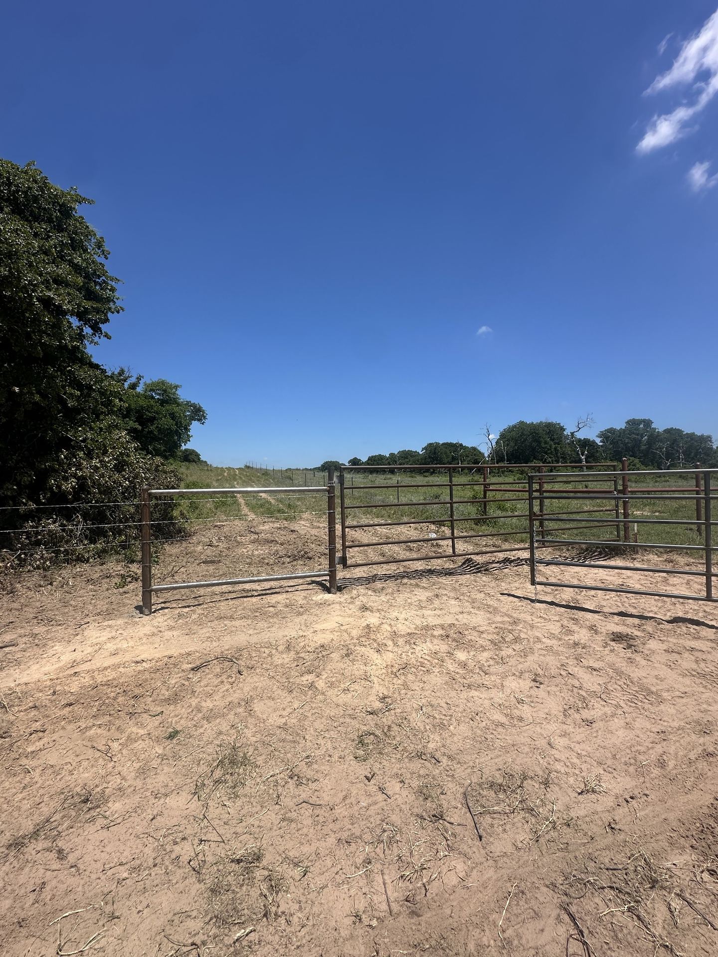 Steel pipe pen and gates set on bare ground at the edge of a pasture